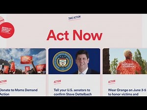 Grassroots organizations nationwide push for 'common sense gun laws' to prevent mass shootings