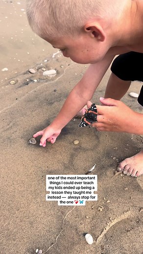 there had to be hundreds of these butterflies stuck in the sand and floating in the water at a lake michigan beacg, and with their wet wings, they couldnt get out. my son noticed immediately, and made it his mission to save as many as he could, forgoing his fun at the beach to protect these tiny creatures. he got me and others at the beach involved. and though he didn’t make much of a dent in the number of drowning butterflies, he did make a difference for a few. I always thought I was going to