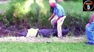 9 Real crocodile attacks on human caught on video 2017