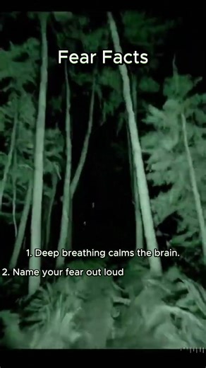 3 Mind-Blowing Facts About Fear | Psychology & Brain Explained