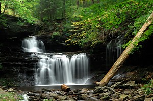 The Outrageous Beauty of Ricketts Glen State Park
