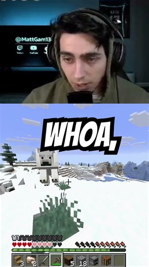 Minecraft Polar Bears, Chill or nah?