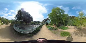 3.2K views · 92 reactions | Next on our series of virtual tours across the Isle of Wight is Ventnor Botanic Garden, filmed back in 2019 and known for its subtropical trees and shrubs  Make sure to check out our Wightlink Explorer section in the link below, where you can view more virtual tours from the comfort of your own home and immerse yourself in one of great gardens of Britain and the Isle of Wight  ➡️ https://bit.ly/2JmymdQ | Wightlink Isle of Wight Ferries | Facebook