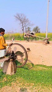 1.8M views · 8.4K reactions | Sustainable Agriculture Bulls Replacing...