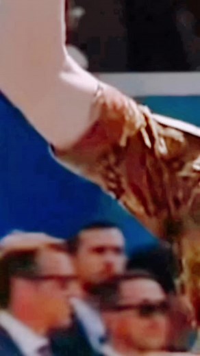 Italianarmy00 su TikTok