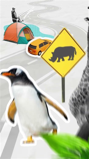 Save on fuel with Servo Saver