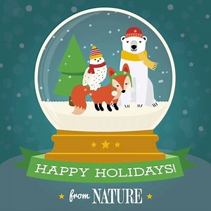 7.4K views · 911 reactions | From all of us at NATURE, happy holidays! | Nature | PBS | Facebook