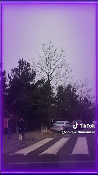 DriveWithMeMusic on TikTok