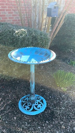 Bird bath comes in 3 colors and very sturdy and easy to put together. #springmusthaves #birdbath #birds #qvc #tiktokshopcreatorpick
