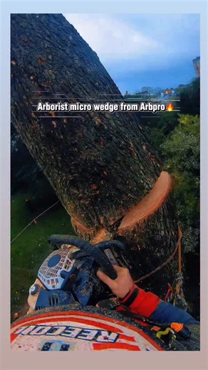 Ronald Stanley | Are you a send it or rig it kind of climber??!😅🤙🏼🤙🏼 using the micro wedge from @arbpro 🔥 My @customsaws ported 500i still going strong💪🔥... | Instagram