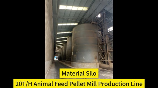 Complete Animal Feed Production Line From Grinding Mixing to Pelletizing Packaging