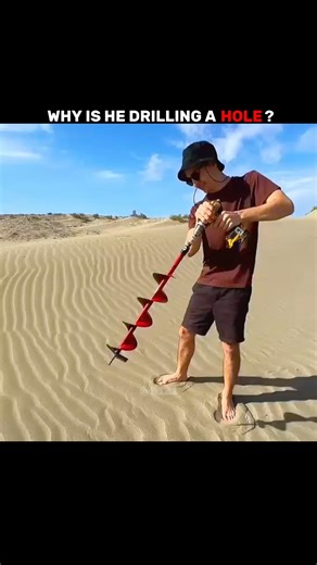 Bro the next day 💀