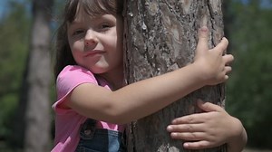 Kid Hugging Tree Happy Little Girl Stock Footage Video (100% Royalty-free) 1046931157 | Shutterstock