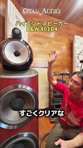 Introducing the B&W 801D4 OTAIAUDIO #audio #audio #audiophile