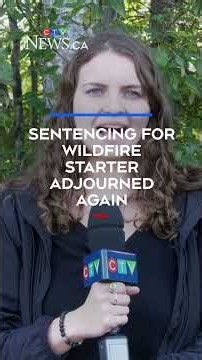 Sentencing for man who started Sask. wildfire delayed again