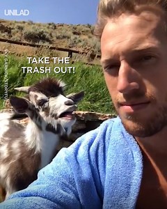 1.4M views · 17K reactions | Don't have an argument with a goat, you'll never win...  | UNILAD | Facebook