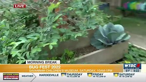 Bug Fest returning to Savannah Children’s Museum