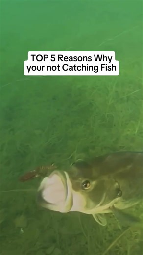 👇 LURE LOGIC — QUICK DECISION SYSTEM 👉 https://fishinglogichq.com Most anglers don’t need more lures. They need a better way to choose them. This isn’t tricks or hype. It’s a simple system based on water, depth, and light — so you know what to start with in under 60 seconds. If this video made sense, the full system is waiting for you 👆 #fishing #bassfishing #fishingtips #angler #america #usa