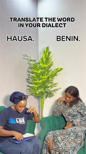 Learning Benin: A Beginner's Journey