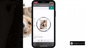 Snap Jewelry 4 Snap Set - Christmas, Halloween, Thanksgiving, St. Patrick's Day, Fits 18MM 20MM Ginger Charm Snap Buttons - Etsy