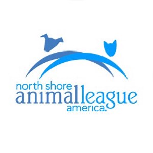 NorthShoreAnimalLeague - Twitch