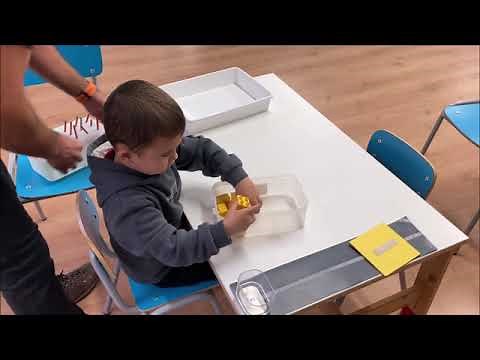 METODO TEACCH (EVOLUCIÓN DE UN CASO)