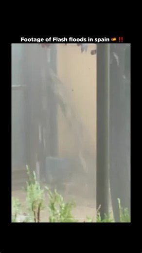 Disaster diaries📛 on Instagram: "Crazy ☠️‼️"