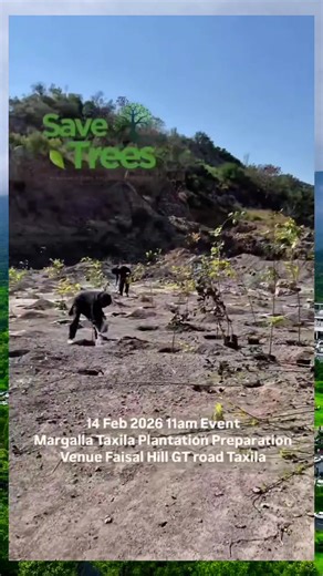 اس ویلینٹائن ڈے گلاب نہیں، درخت لگائیں | مارگلہ میں شجرکاری مہم #MargallaHills #TreePlantation #ShajarKari #GreenPakistan #ValentinesDay2026
