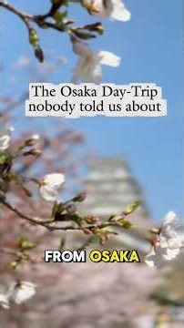 Everyone visits Osaka… but this day trip ended up being our favourite experience in Japan.
