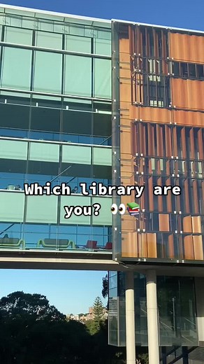 Discover Schaeffer: A Hidden Gem at USYD