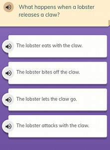 What happens when a lobster releases a claw?The lobster eats ... | Filo