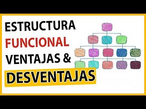🤓 What is a FUNCTIONAL ORGANIZATIONAL STRUCTURE ✅| FUNCTIONS 😲, ADVANTAGES ✔️ and DISADVANTAGES ⏬😱