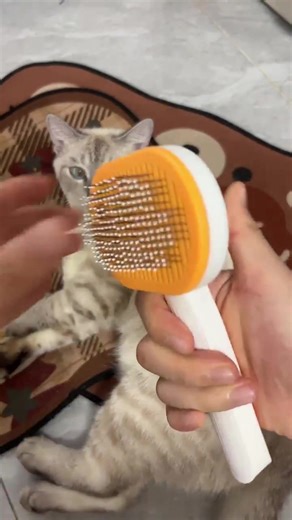My cat hated brushing… until I tried this tool (now she purrs nonstop) 😻#CatBrush #CatGrooming #CozyCatCare #CatPurrs #EasyCatGrooming