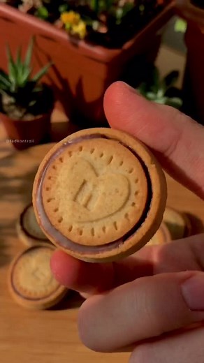 Decadent Nutella Chocolate Dessert Recipe