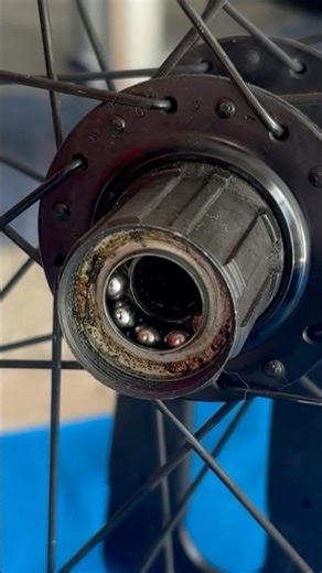 【GIANT ATX】 ホイールハブ、グリップアップ、wheel grease up リア #asmr #mtb #mountainbike #マウンテンバイク #自転車 #シマノ #shimano