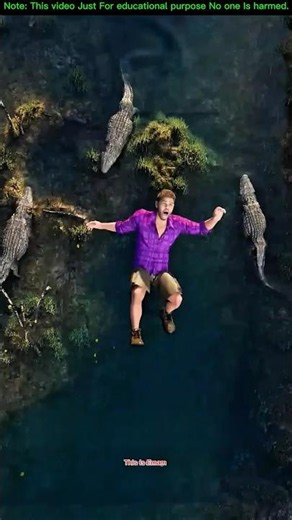 Crocodile Attack Survival Guide 🐊 What To Do If A Crocodile Comes After You! #Crocodile #Shorts