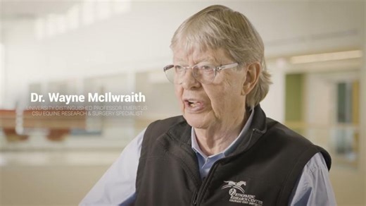 Viewpoint with Dennis Quaid: Interpath Global - A Revolution In Joint Health | epiq Animal Health