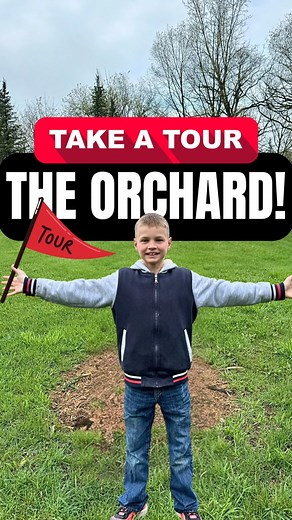 24K views · 1.4K reactions | Keegan’s orchard tour! #fluffyfeatherfarm #tour #farmtour #rural #country #farm #farmlife #highlandcow #cow #highlandcattle #cows #cowsofinstagram #scotland #highlandcows #highlandcowsofinstagram #countryside #countryliving #fluffycow #fluffypuppies #babyanimals #minihighland #farmlifegoals #farmlifexperience #farmanimals #ilovecows #highlandcow #minihighlandcow #farmfamily | Fluffy Feather Farm | Facebook