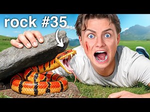 I Flipped 100 Rocks in My Backyard, Here's What I Found...