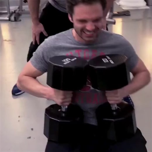 Sebastian Stan: A Celebration of Talent and Charm