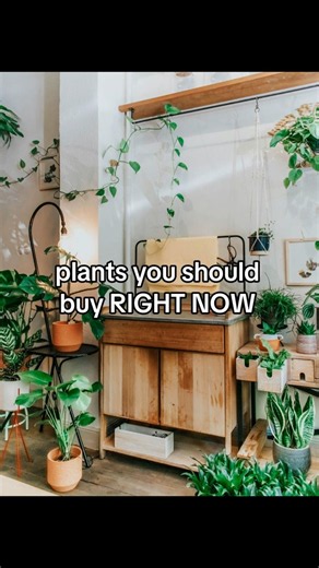 🌿 Plants You NEED To Buy RIGHT NOW 🛒✨ #PlantCare #Houseplants #PlantTips