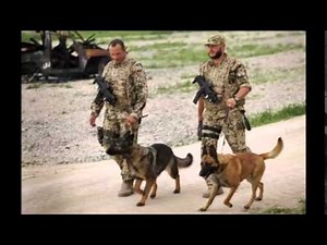 Provide Police-Military Dog Protection Equipment