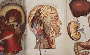 28 reactions · 14 shares | We hope you’ve joined us today for the...