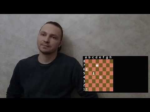 Программирование на Python. Шахматы. Урок 1