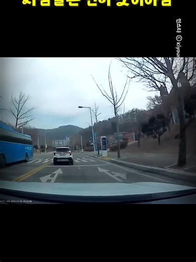 운전 중 불법 행위에 대한 논란