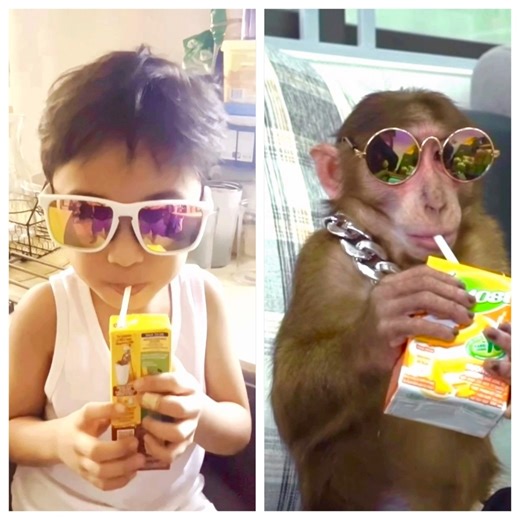 Spot the Difference! 🤣 | Rod Rodriguez