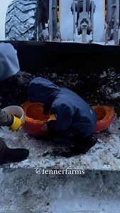184K views · 13K reactions | It was a gourd run, Bert. 李 #farm #farmlife #kids #farming #tractor #family #farmkids #drive #volvo #pumpkin #pumpkins #bertha #gourd #goodbye | Devon Fenner | Facebook