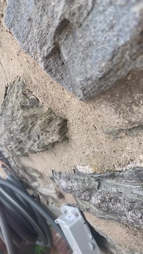 🧚‍♀️🧚‍♀️🧚‍♀️ (@cursive_satisfier)’s videos with No more garbage - 🌱💗