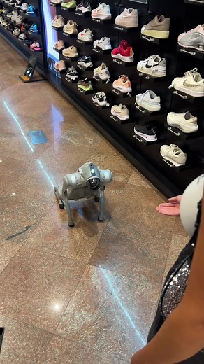 Synn:labs robot — en vez de trabajar jugando con el robot