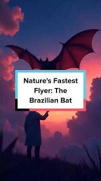 Nature's Fastest Flyer: The Brazilian Bat